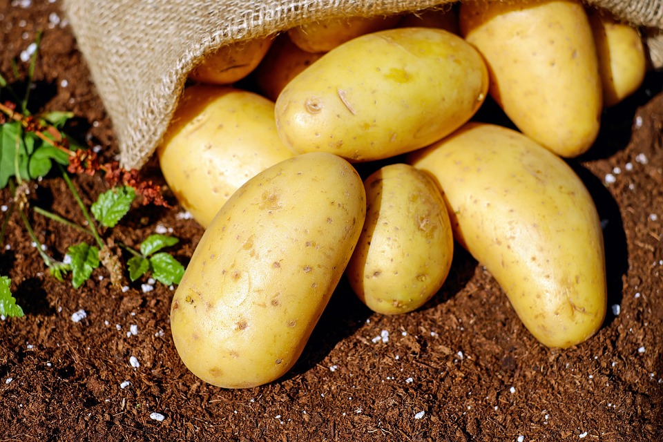 Como Cozinhar Batatas: Dicas e Receitas para Facilitar a Sua Vida na Cozinha